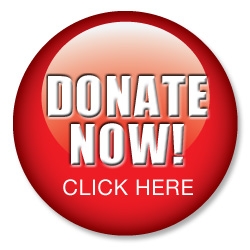 Donate