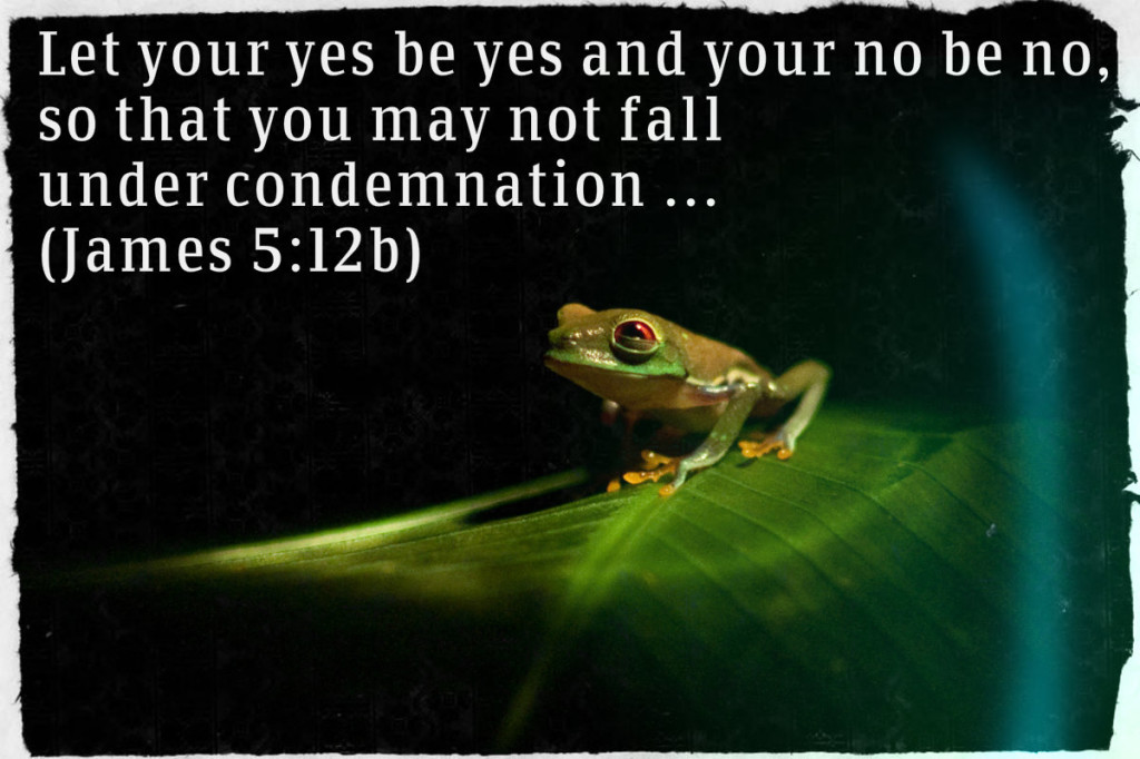Let your Yes be Yes and your No be No Frog